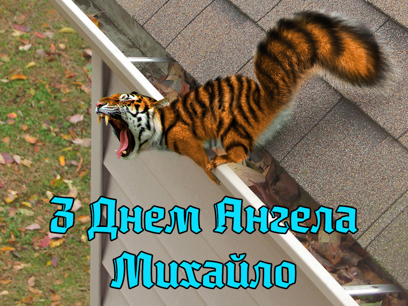 Привітання Михайлу