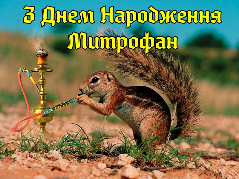 Привітання Митрофану