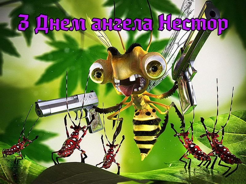 Привітання Нестору