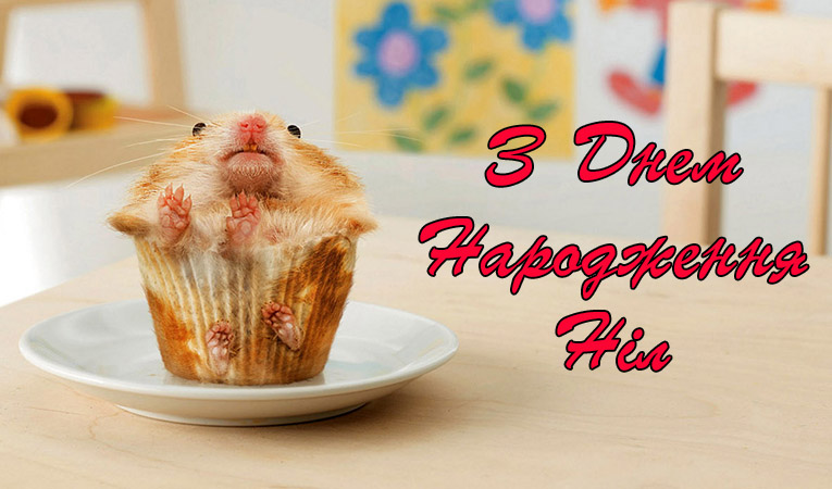 Привітання Нілу