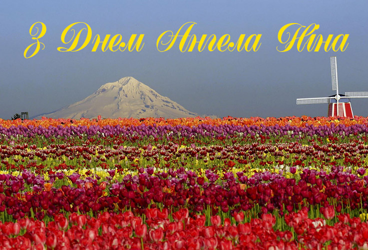 Привітання Ніні