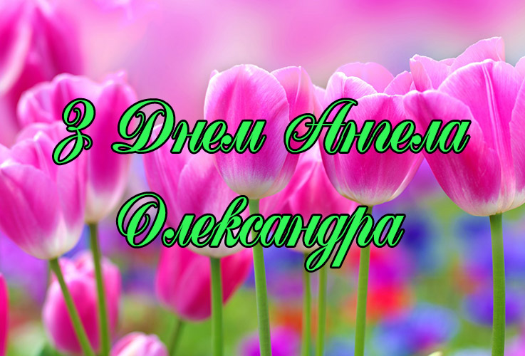 Привітання Олександрі