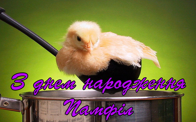 Привітання Памфілу