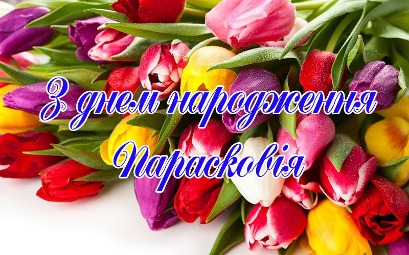 Привітання Парасковії