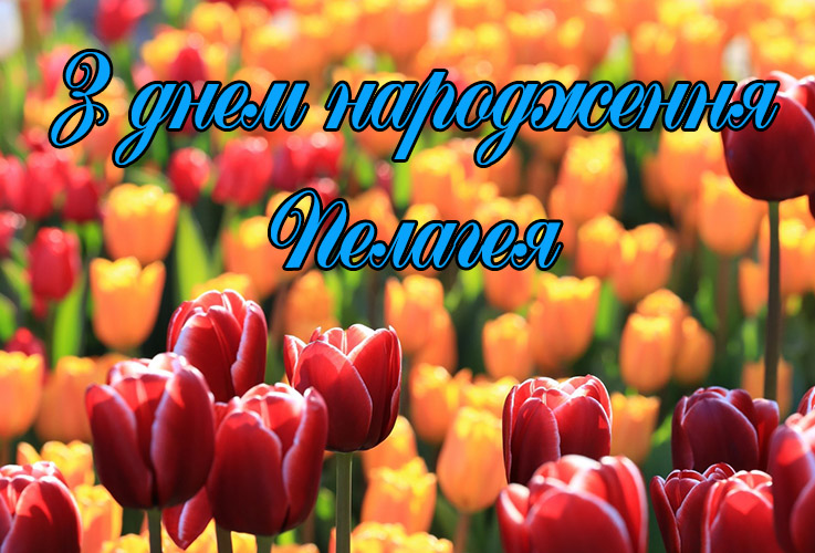 Привітання Пелагеї