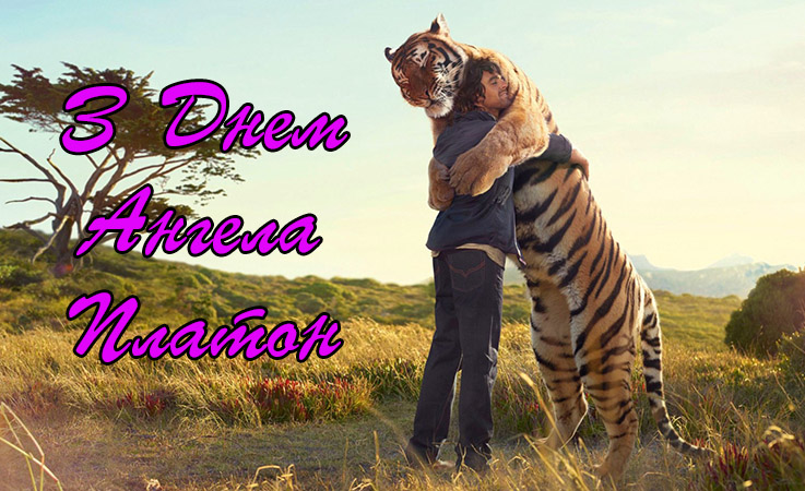 Привітання Платону