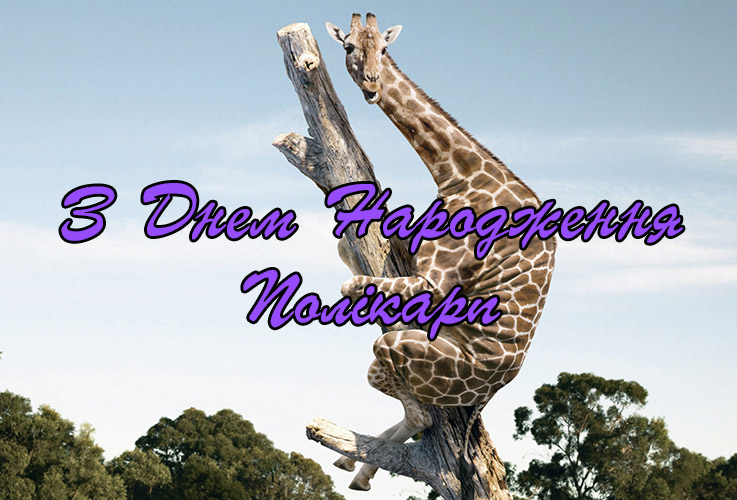 Привітання Полікарпу