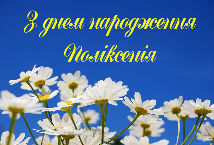 Привітання Поліксенії