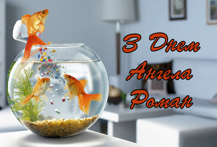 Привітання Роману