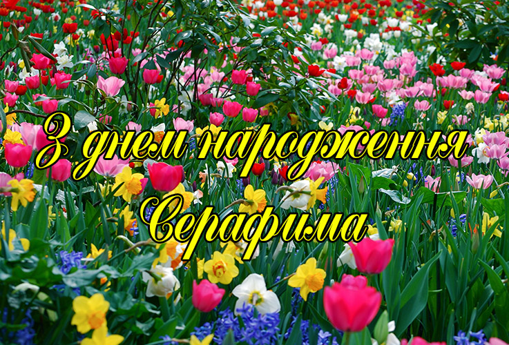 Привітання Серафимі
