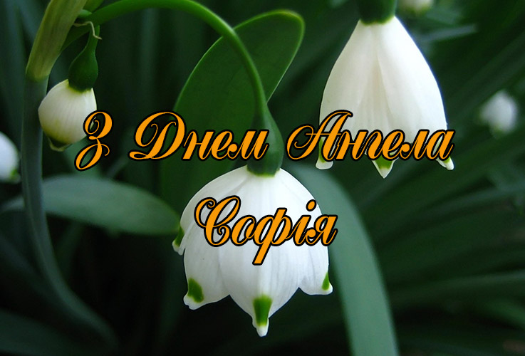 Привітання Софії