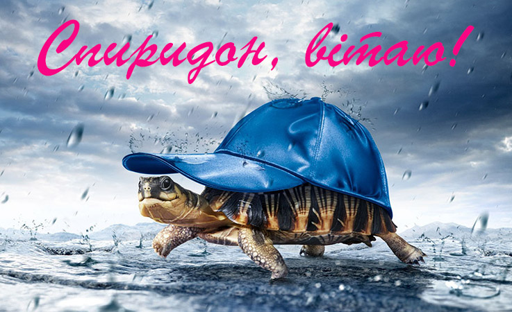 Привітання Спиридону