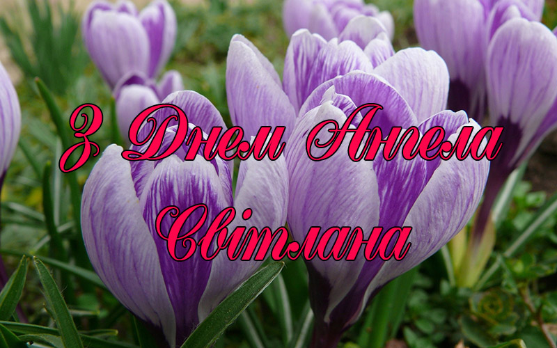 Привітання Світлані