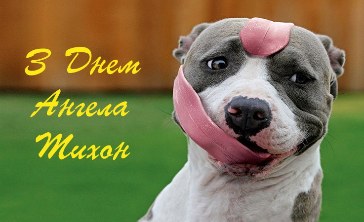 Привітання Тихону