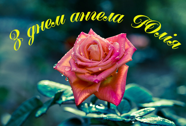 Привітання Юлії