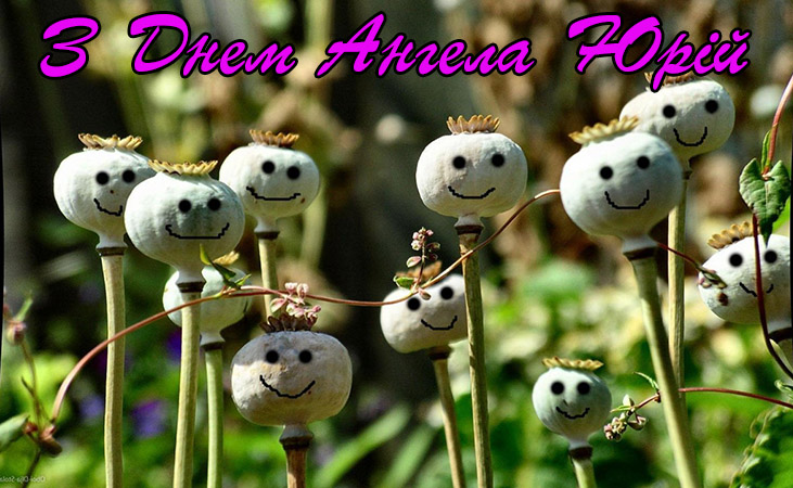 Привітання Юрію