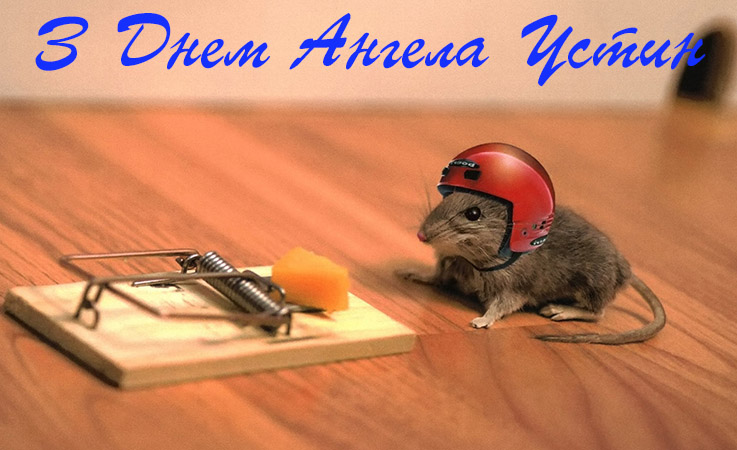 Привітання Устину