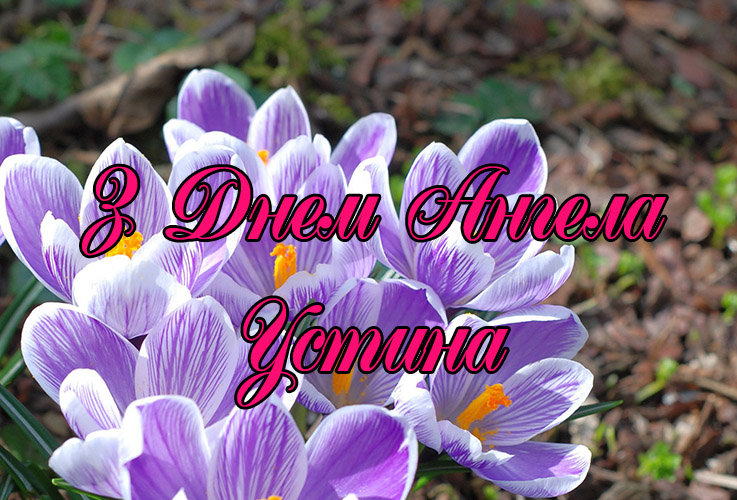 Привітання Устині