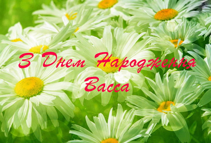 Привітання Вассі