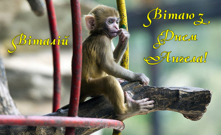 Привітання Віталію