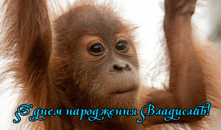Привітання Владиславу