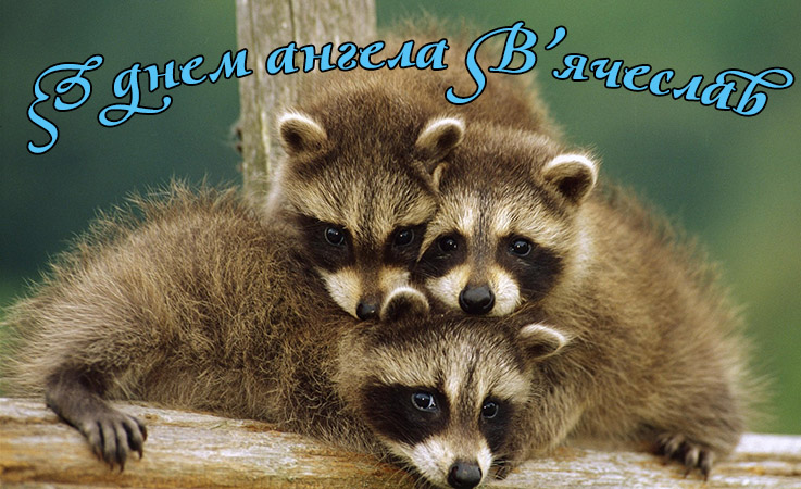 Привітання В’ячеславу