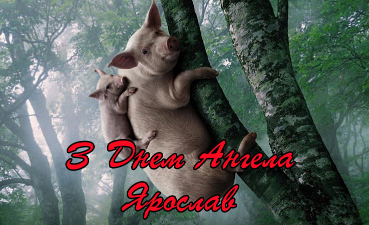 Привітання Ярославу