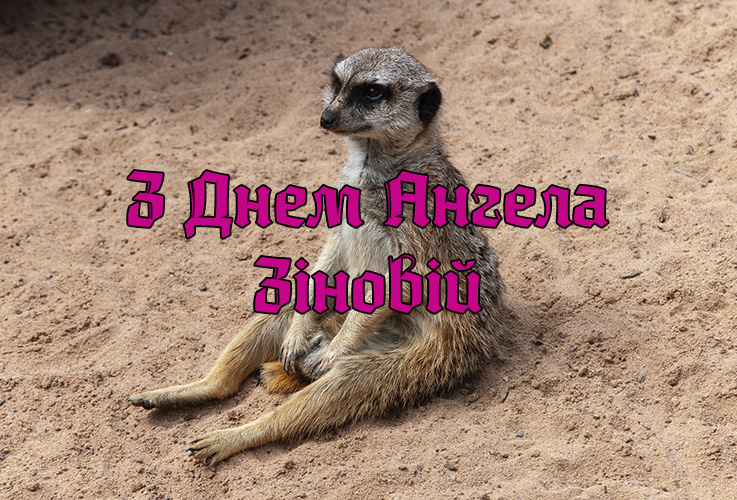 Привітання Зіновію