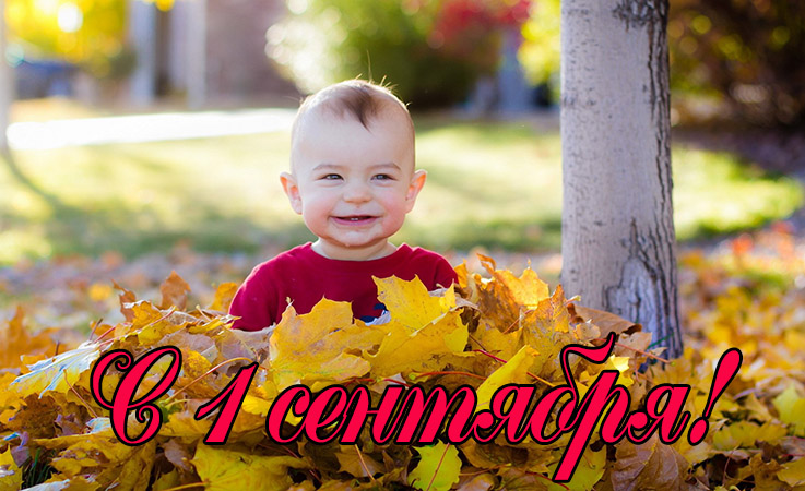 Поздравления с 1 сентября