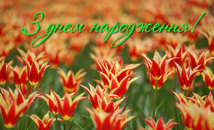 Привітання з днем народження