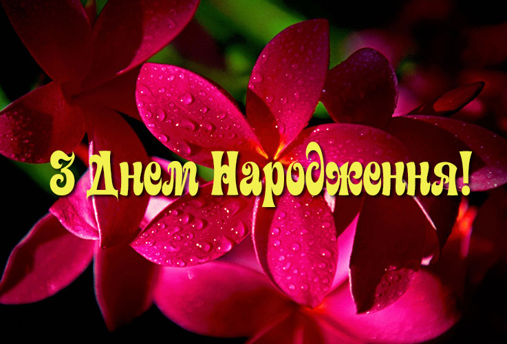 Універсальні привітання з днем народження