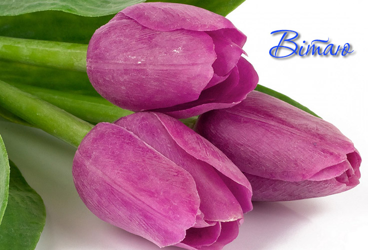 Гарні привітання з днем народження