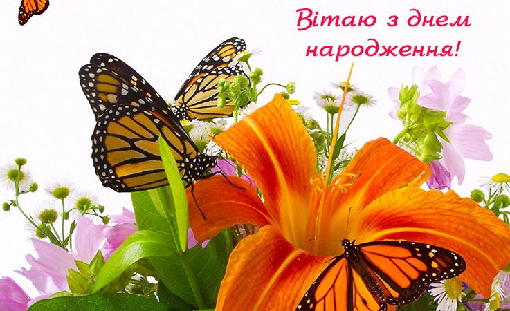 Вірші з днем народження