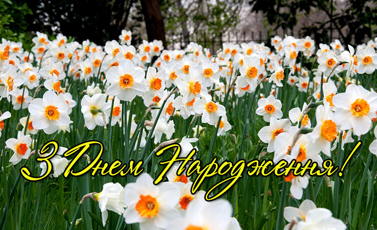 Найкращі привітання з днем народження