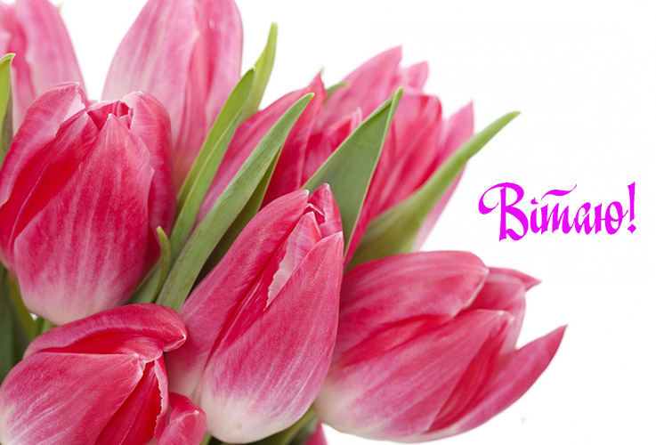 Смішні привітання з днем народження