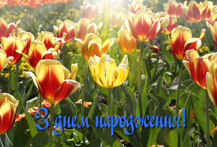 Прикольні привітання з днем народження