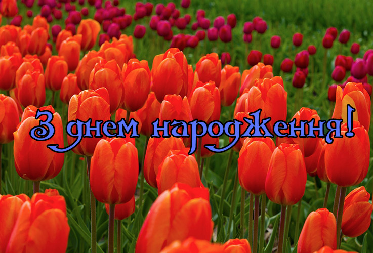 Смс з днем народження