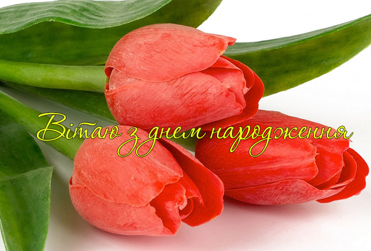 Прикольні вірші з днем народження