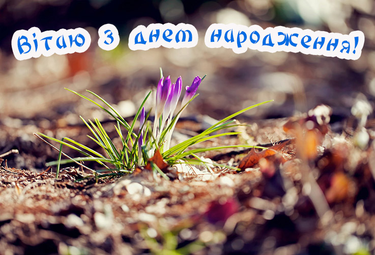 Класні привітання з днем народження