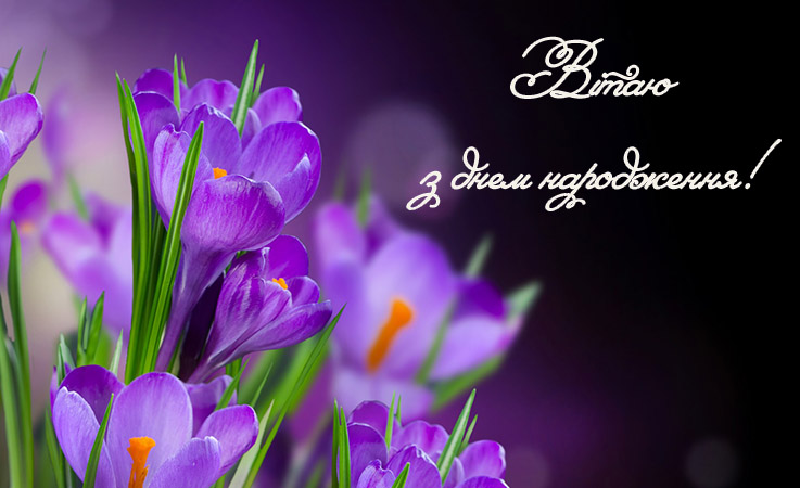 Поздоровлення з днем народження