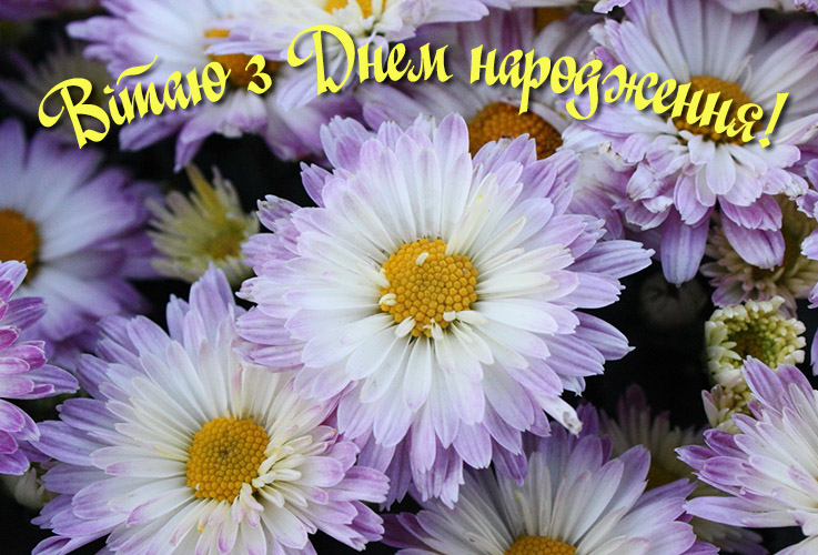 Вірші на день народження