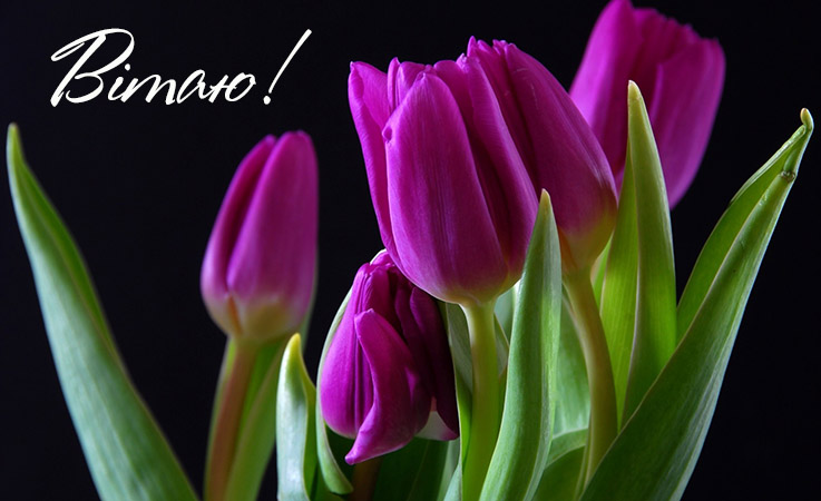 Віршовані привітання з днем народження