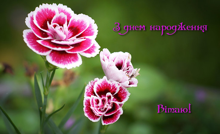 Вітання в день народження