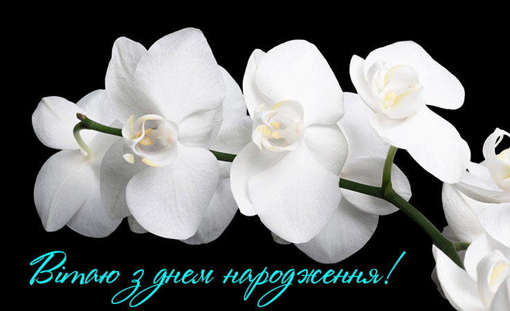 З днем народження