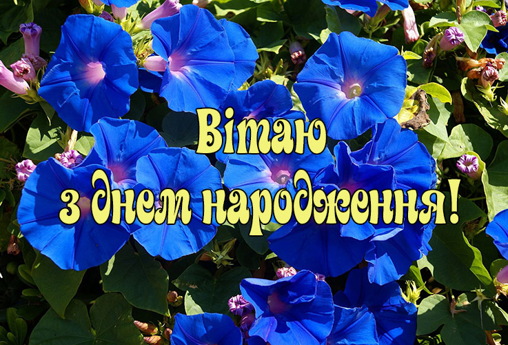 Привітання