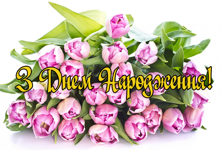 Поздоровлення