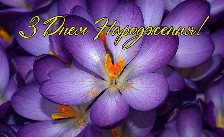 Привітання з днюхою