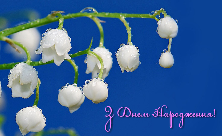 Привітання з днем народження без матів