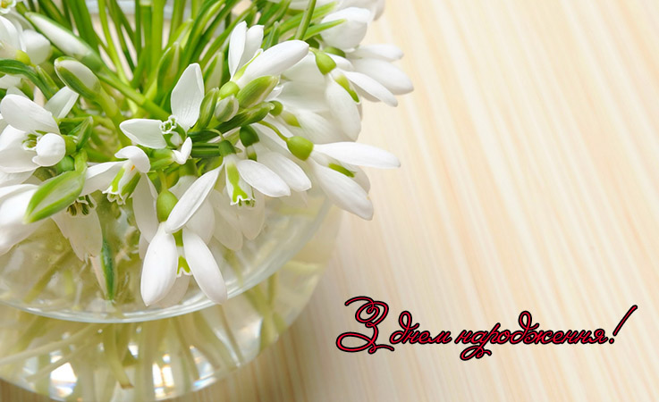 Юмористичні вітання з днем народження