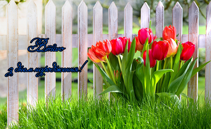 Гарні поздоровлення з днем народження